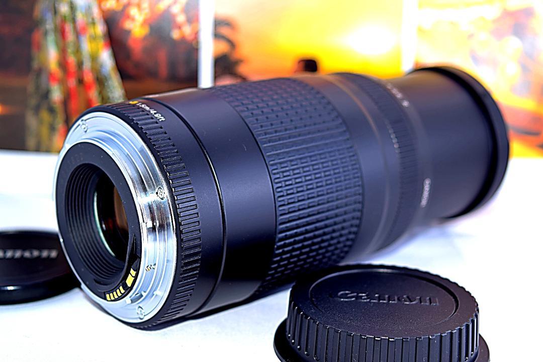 ❤Canon EF 75-300mm Ⅱ USM❤推し活に最適！❤超望遠レンズ