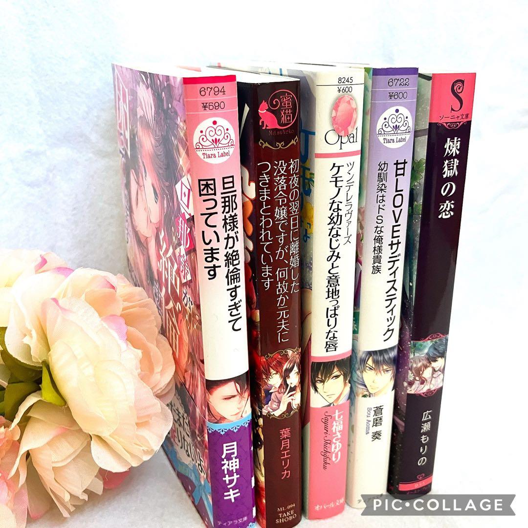TL小説 まとめ売り ばら売り可能 ラノベ 月神サキ 坂本あきら 葉月エリカ