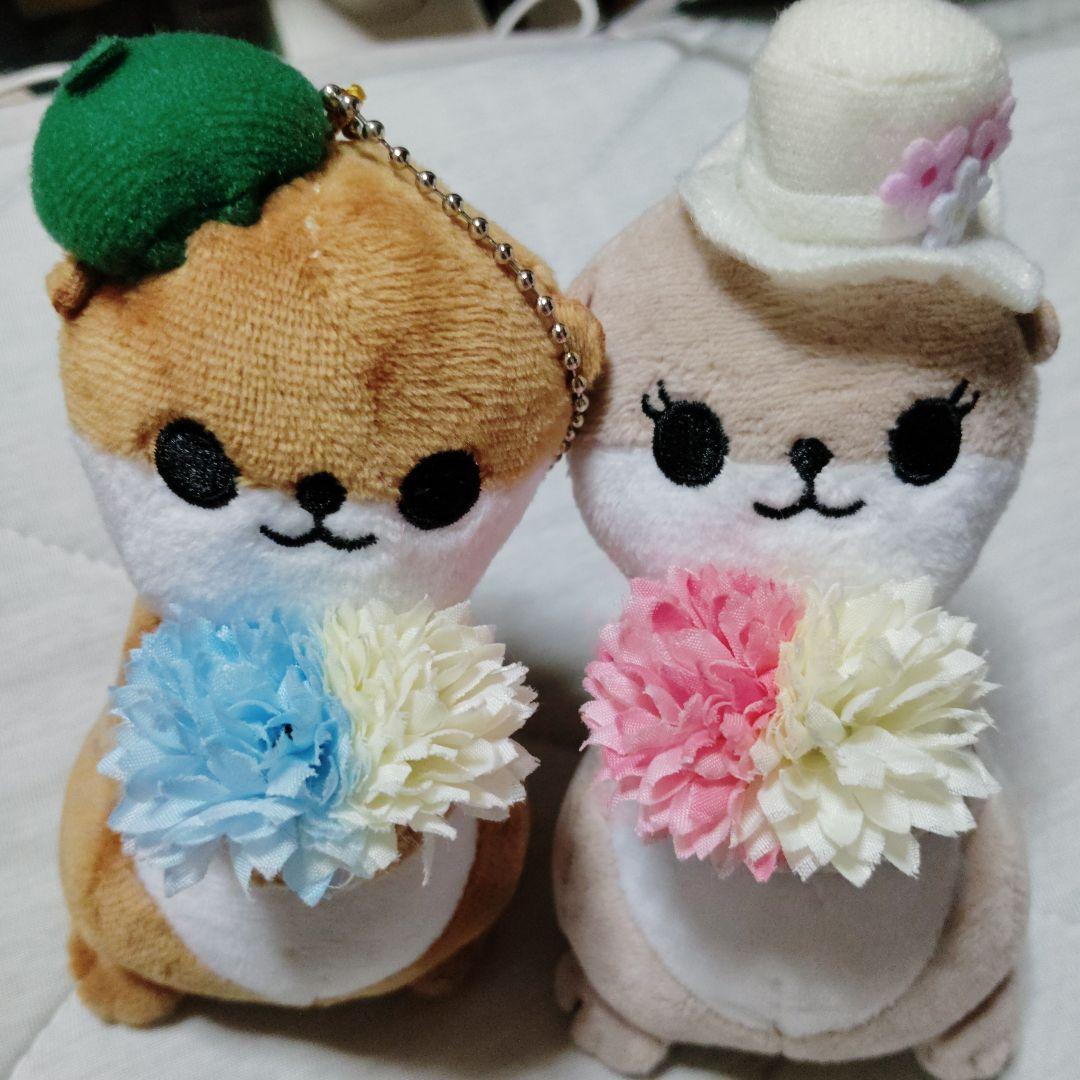 小倉唯 カワウソくん。ぬいぐるみチャーム 小倉 唯 Official on X: 