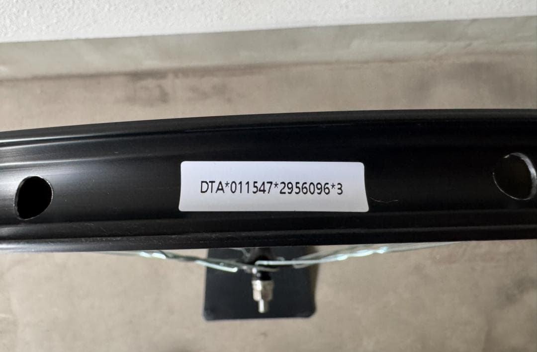 ピストホイール モランボン組