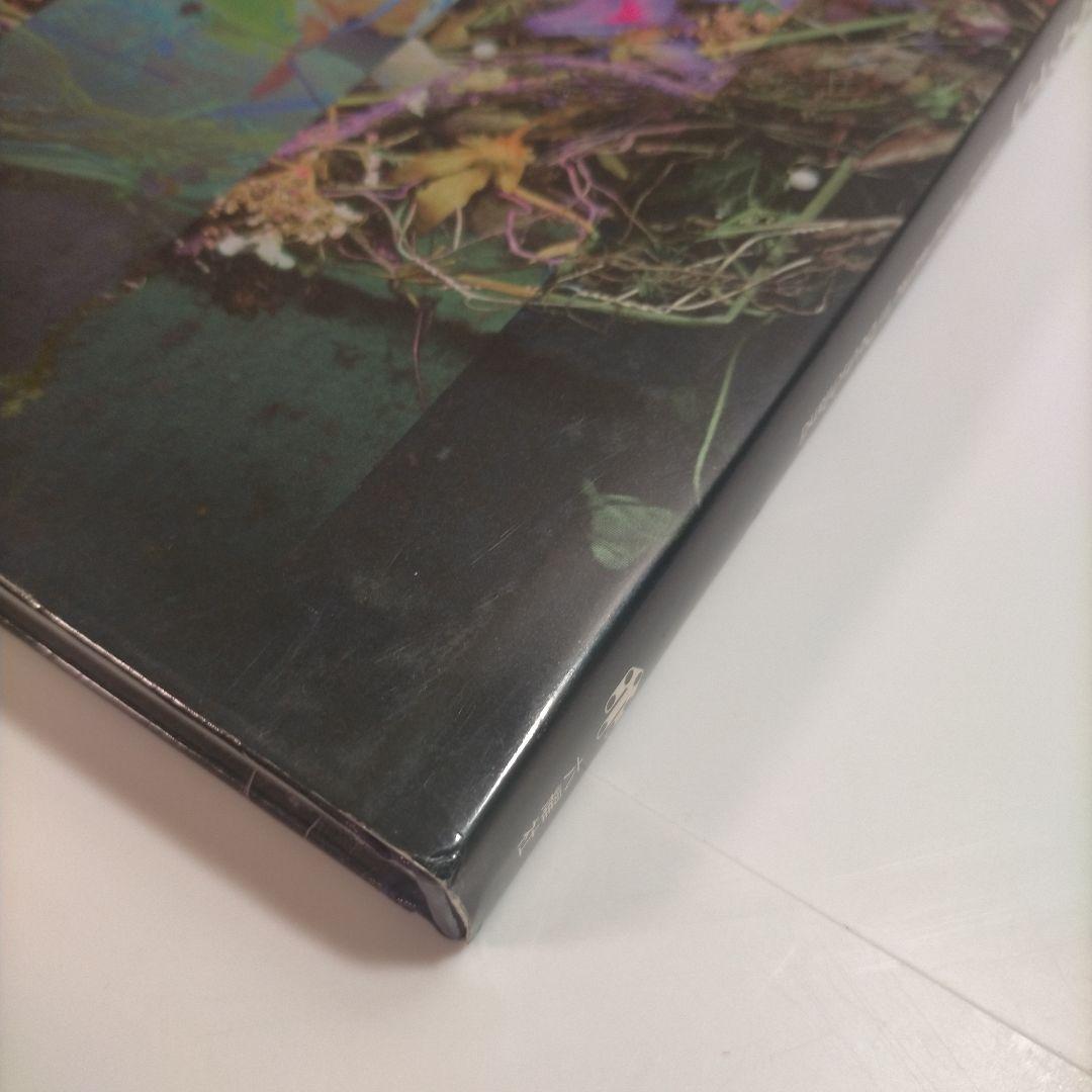 ドイツ・フローラル・デザイン／フラワー・デザイン ドイツ・フローラル・デザイン／フラワー・デザイン ¥3,965 送料込