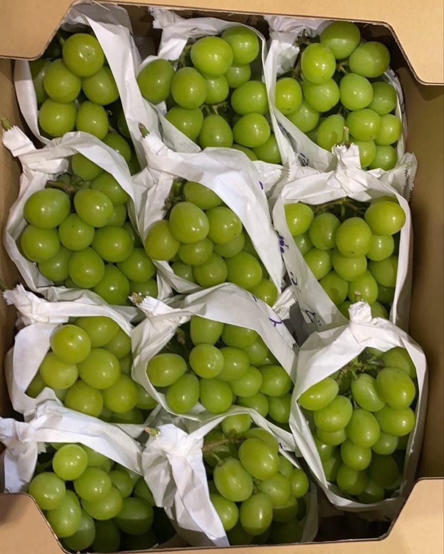 山梨県or長野県産　シャインマスカット約5キロ