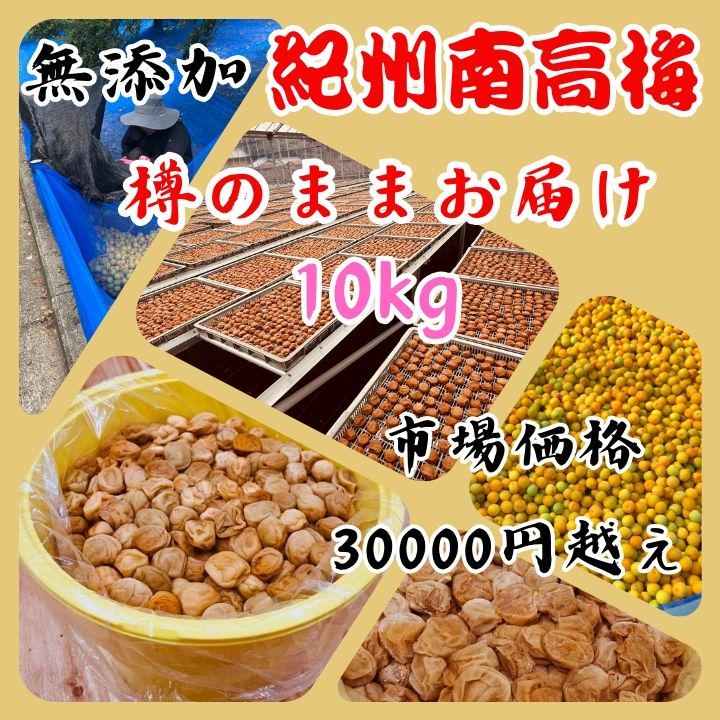 数量限定！ 紀州南高梅 樽 10kg 無添加 和歌山 紀州 白梅