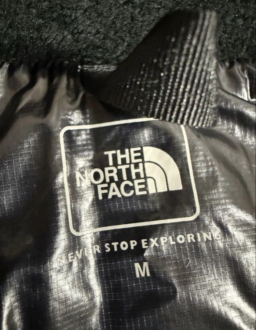 THE NORTH FACEザ・ノースフェイス アルパインヌプシフーディ