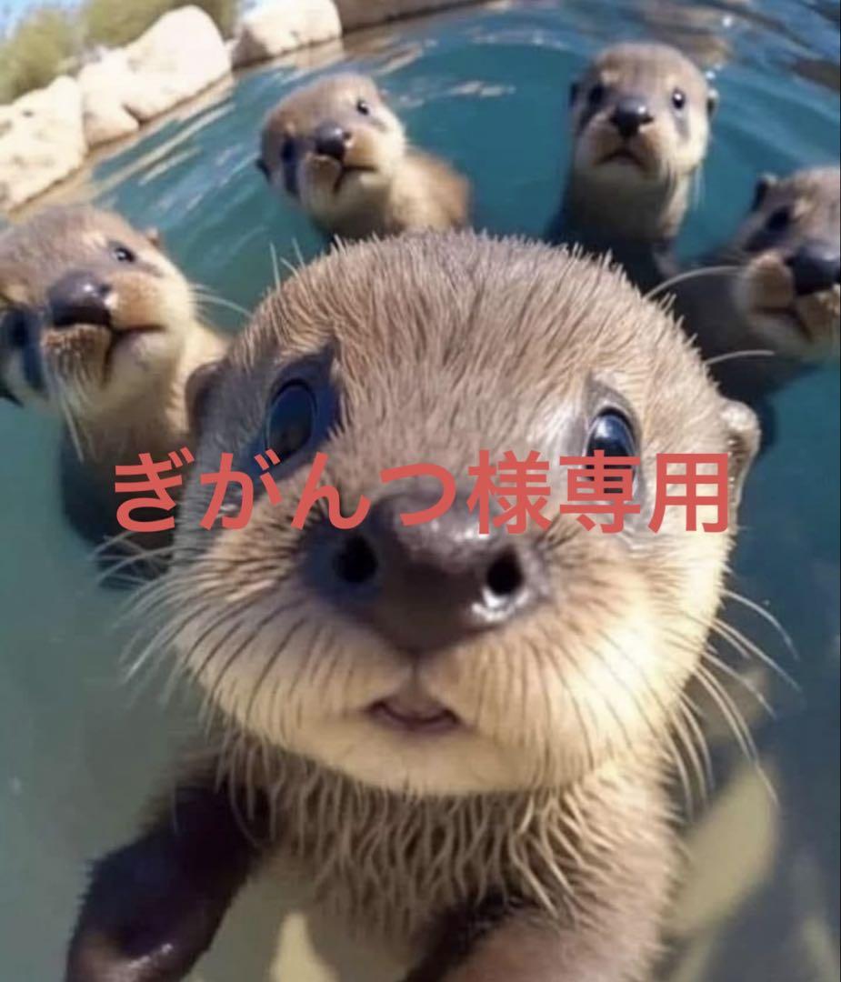 ぎがんつ