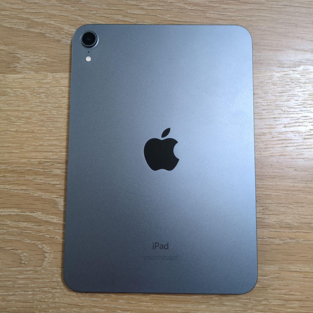 iPad mini