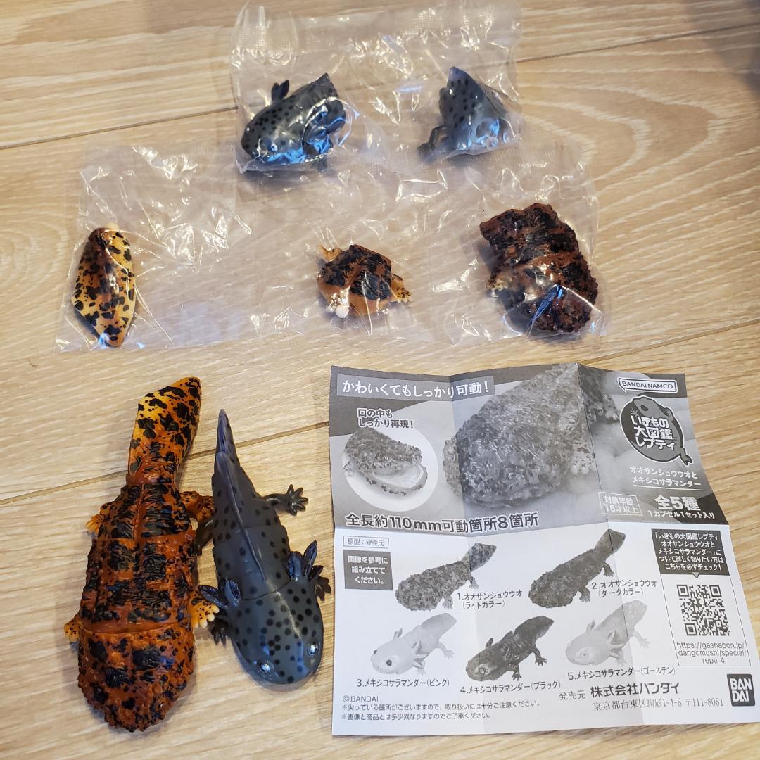 ウーパールーパー オオサンショウウオ いきもの大図鑑レプティ