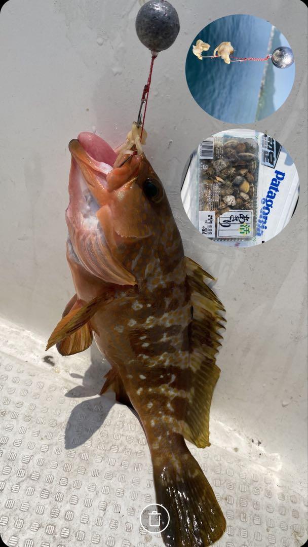 再入荷アイテム コスパ最強で釣果抜群！魚釣り船釣り 丸オモリ仕掛け☆送料無料 ルアー・フライ