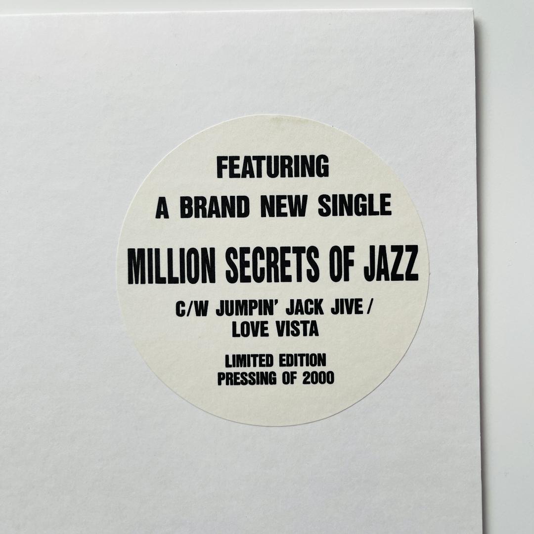 限定2000枚 レコード Original Love 田島貴男 オリジナル・ラブ