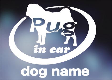 パグ in carステッカー、犬ステッカー