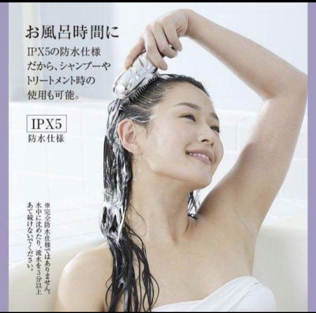 電気ブラシ