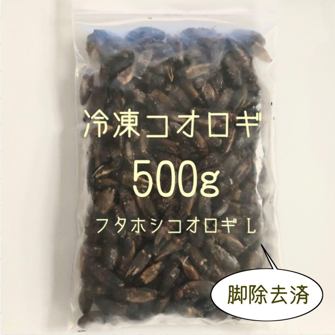 爬虫類ビッグセール】国産の冷凍親ウズラ 処理なし 30羽【クール