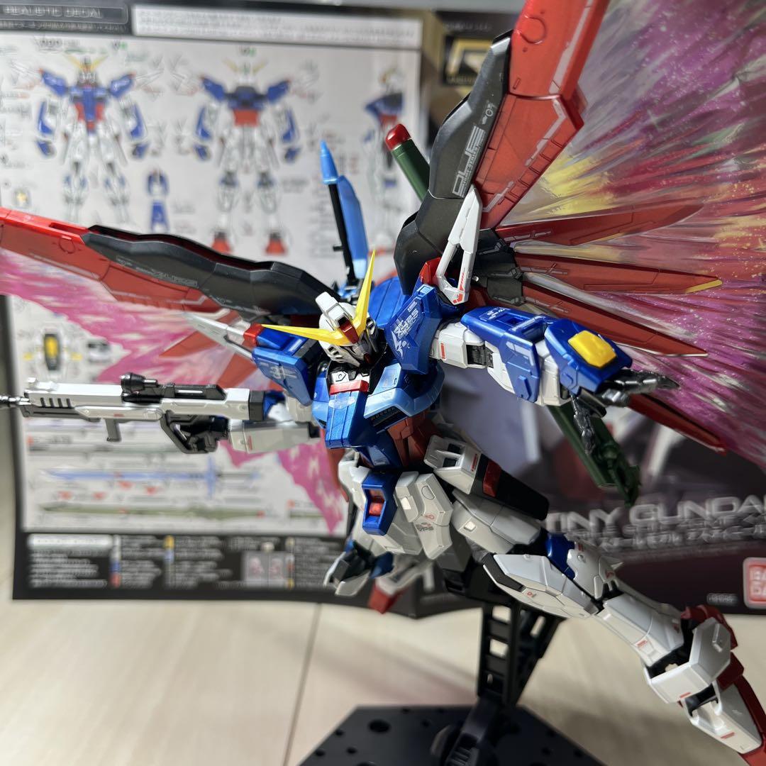 デスティニーガンダムチタニウムフィニッシュRG