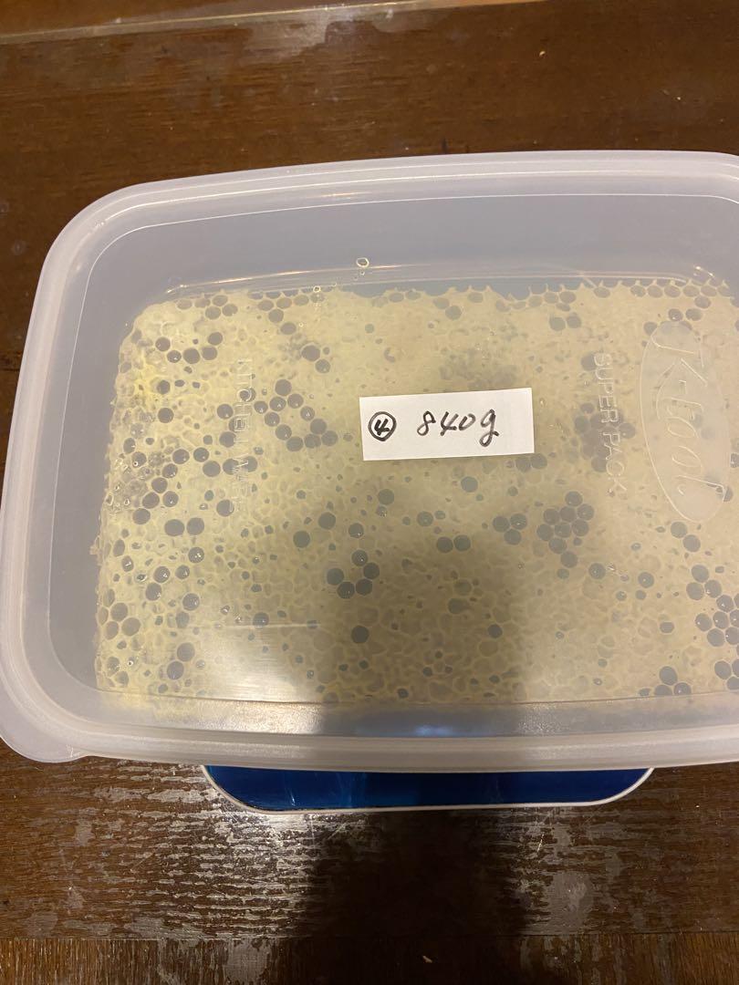 日本蜜蜂　巣蜜　コムハニー　840g