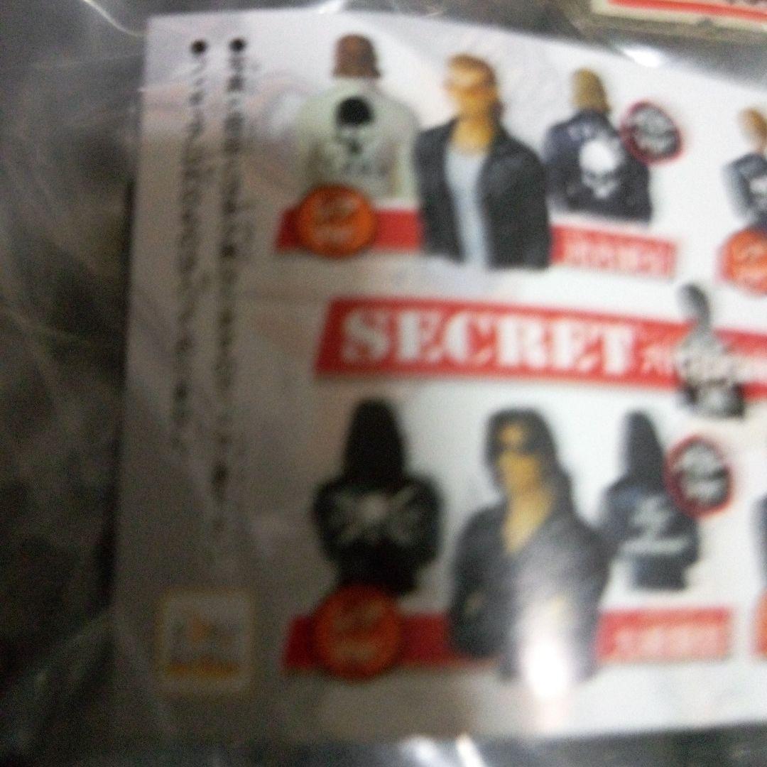 クローズ&WOST 12体セット セミコンプ