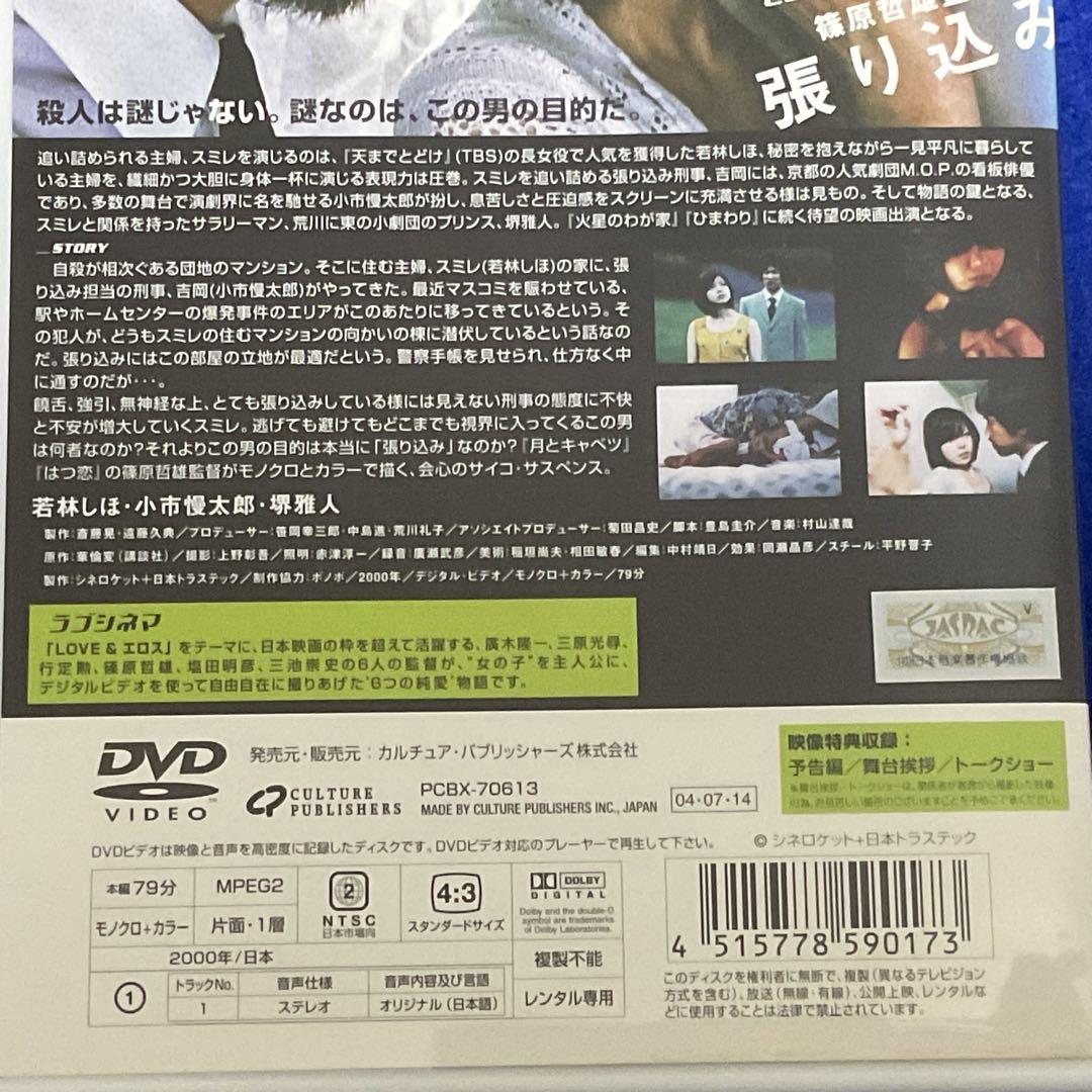 DVD 張り込み 若林しほ・小市慢太郎・堺雅人