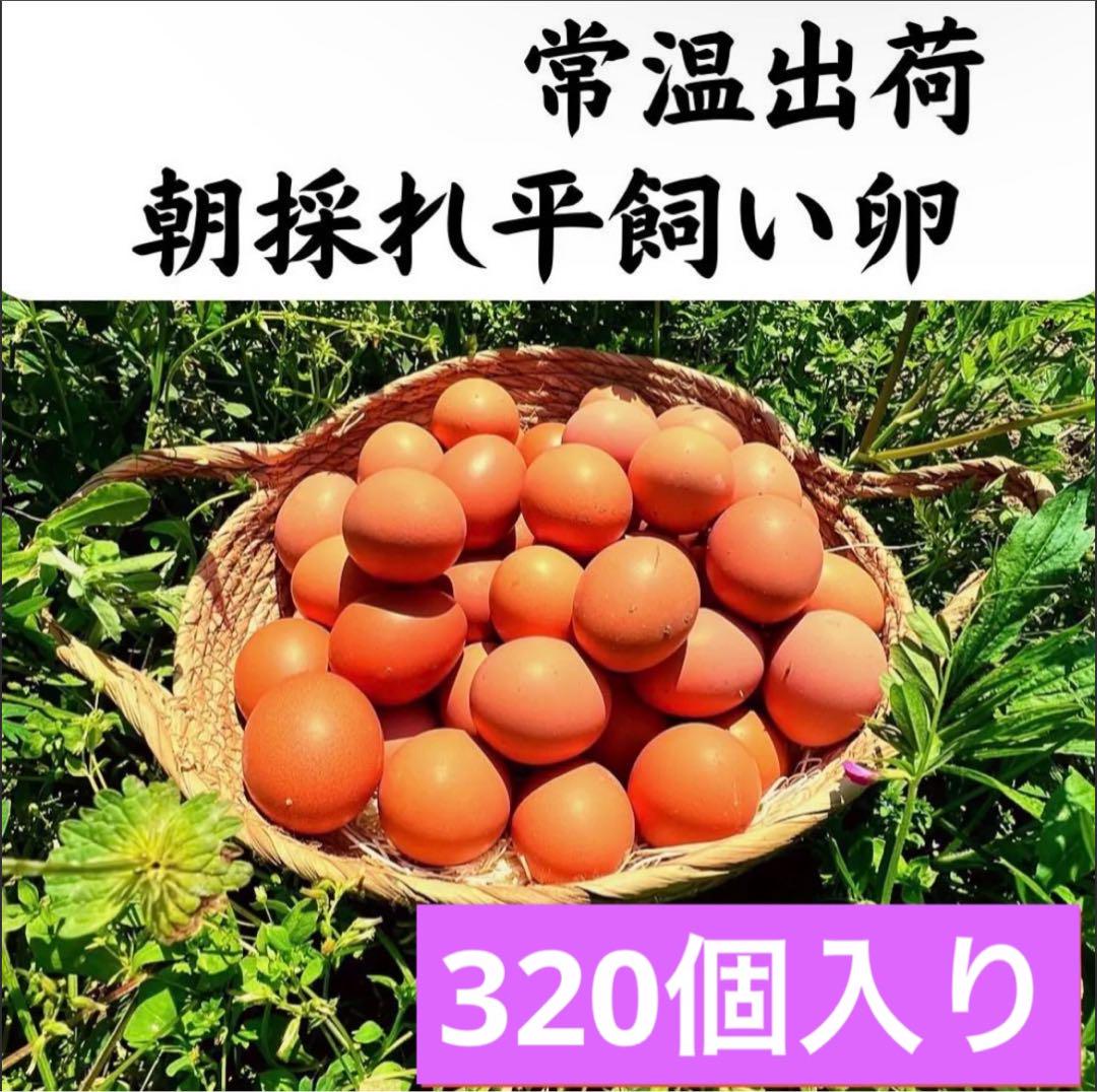 320個入り　宮下養鶏の朝採れ平飼い卵