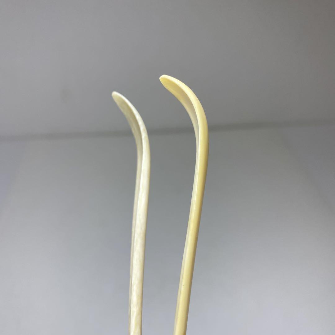 2本