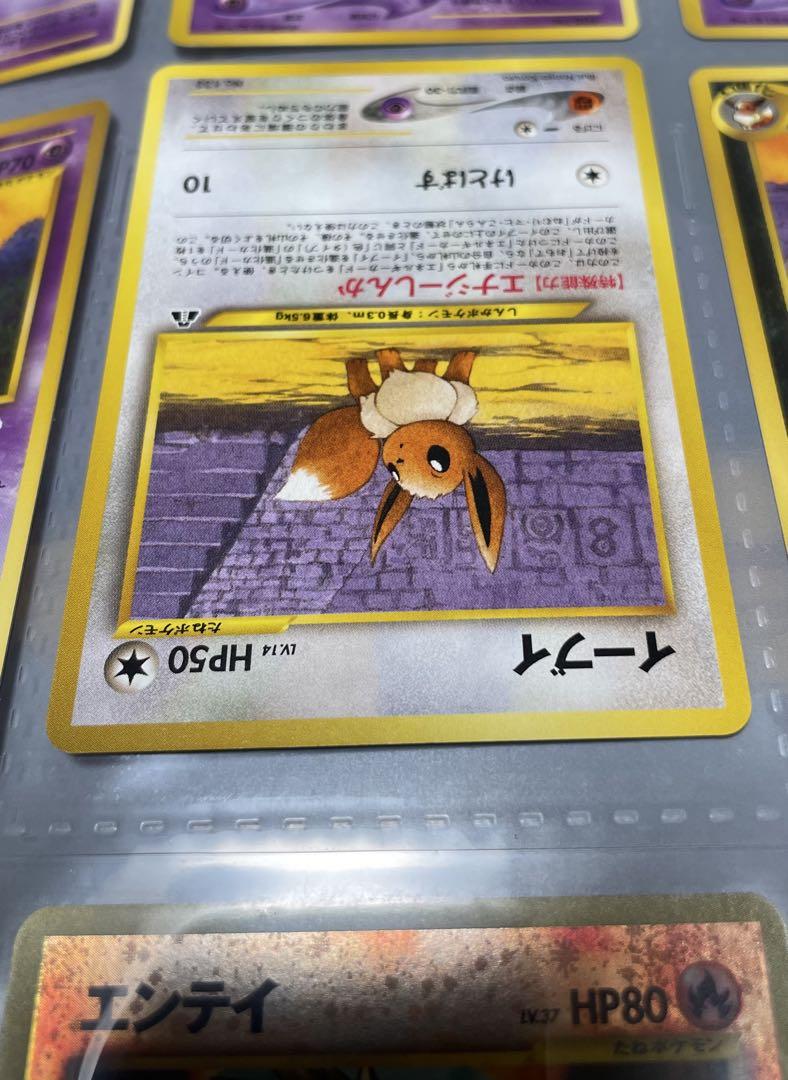 ポケモンカード　ネオ　プレミアムファイル　2点セット