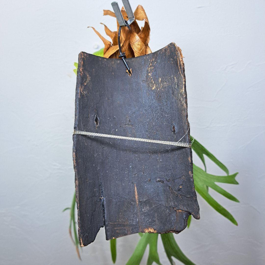 モーニングスター目立った傷や汚れなし