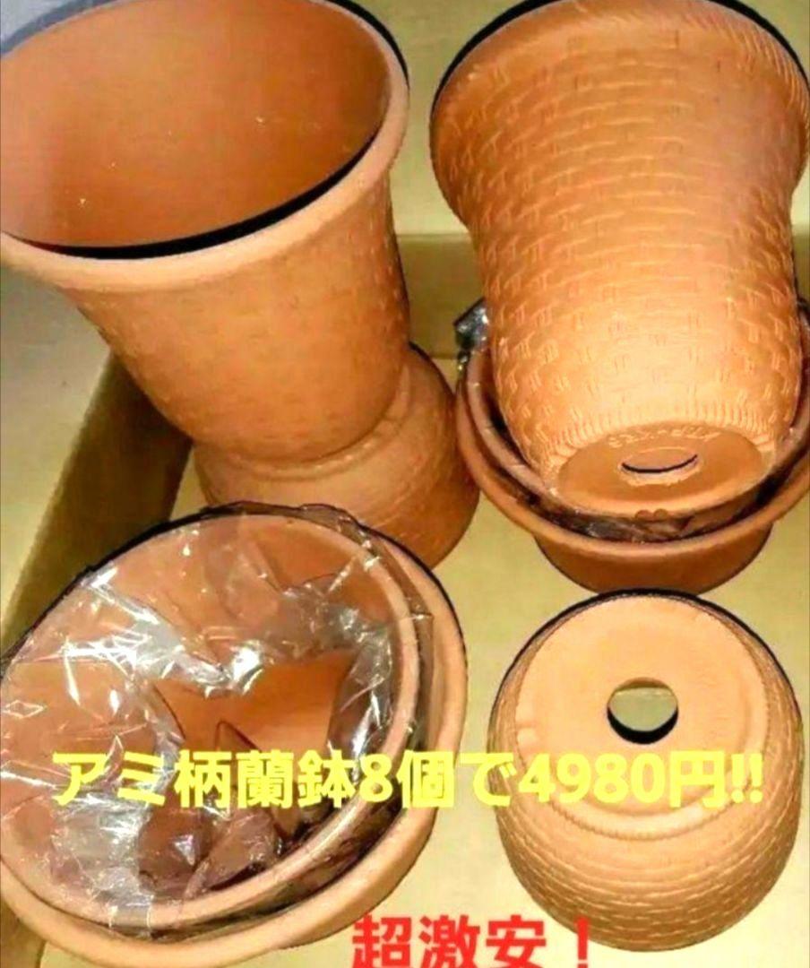 新製品情報も満載 最安値宣言！超お買い得！三河焼高級アミ柄ラン鉢赤焼6号 フラワー・リース
