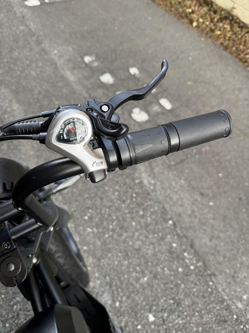 大特価 SUPER73 RX系2024最新品 トルクセンサー500W バッテリー18A 自転車 自転車本体