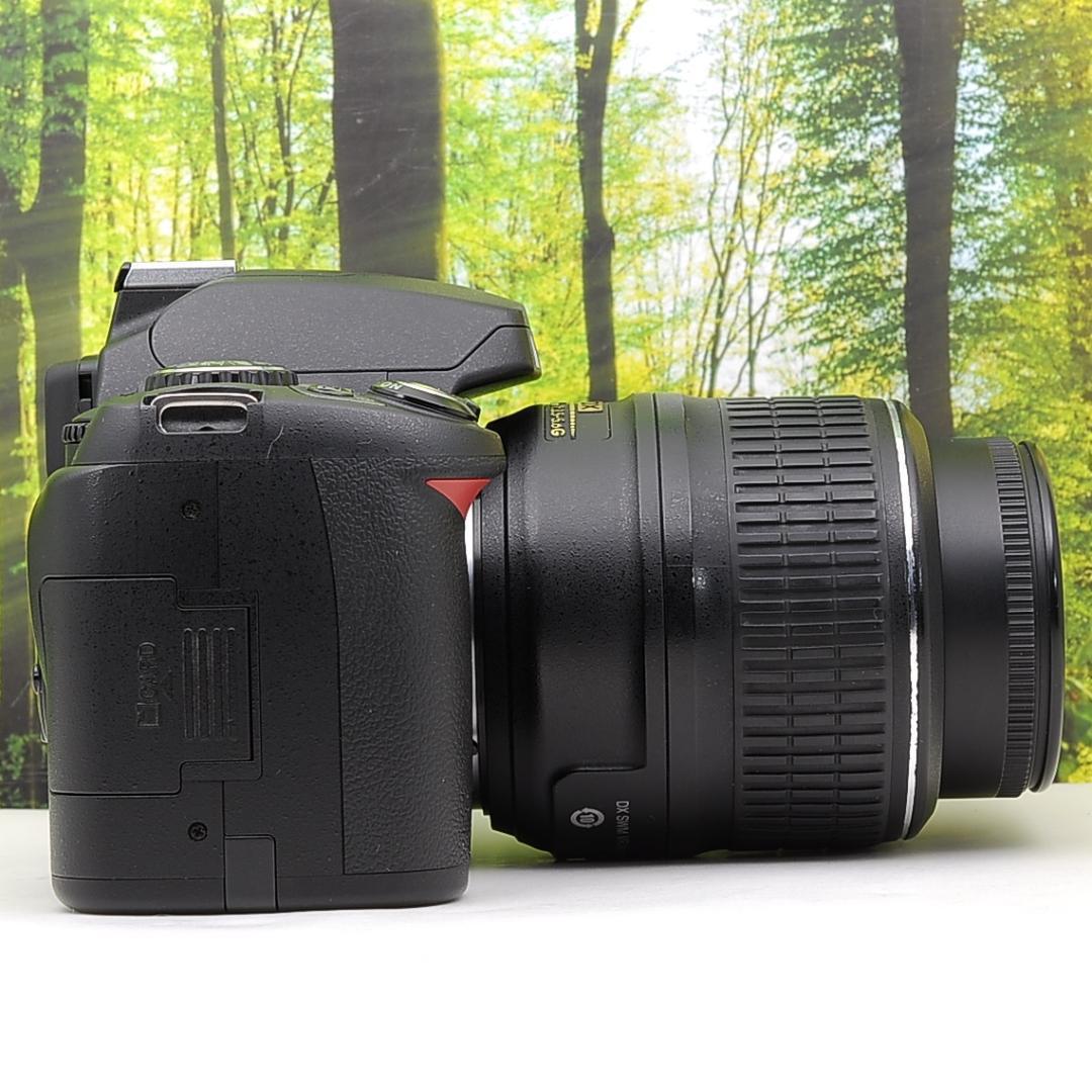 スマホ転送セット☆Nikon D40☆色補正しなくても鮮やかなカメラ