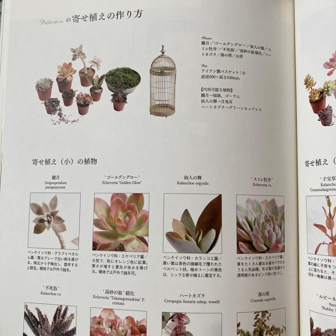 80 Off 12ケ月の寄せ植えレシピ Godilcompanies Com