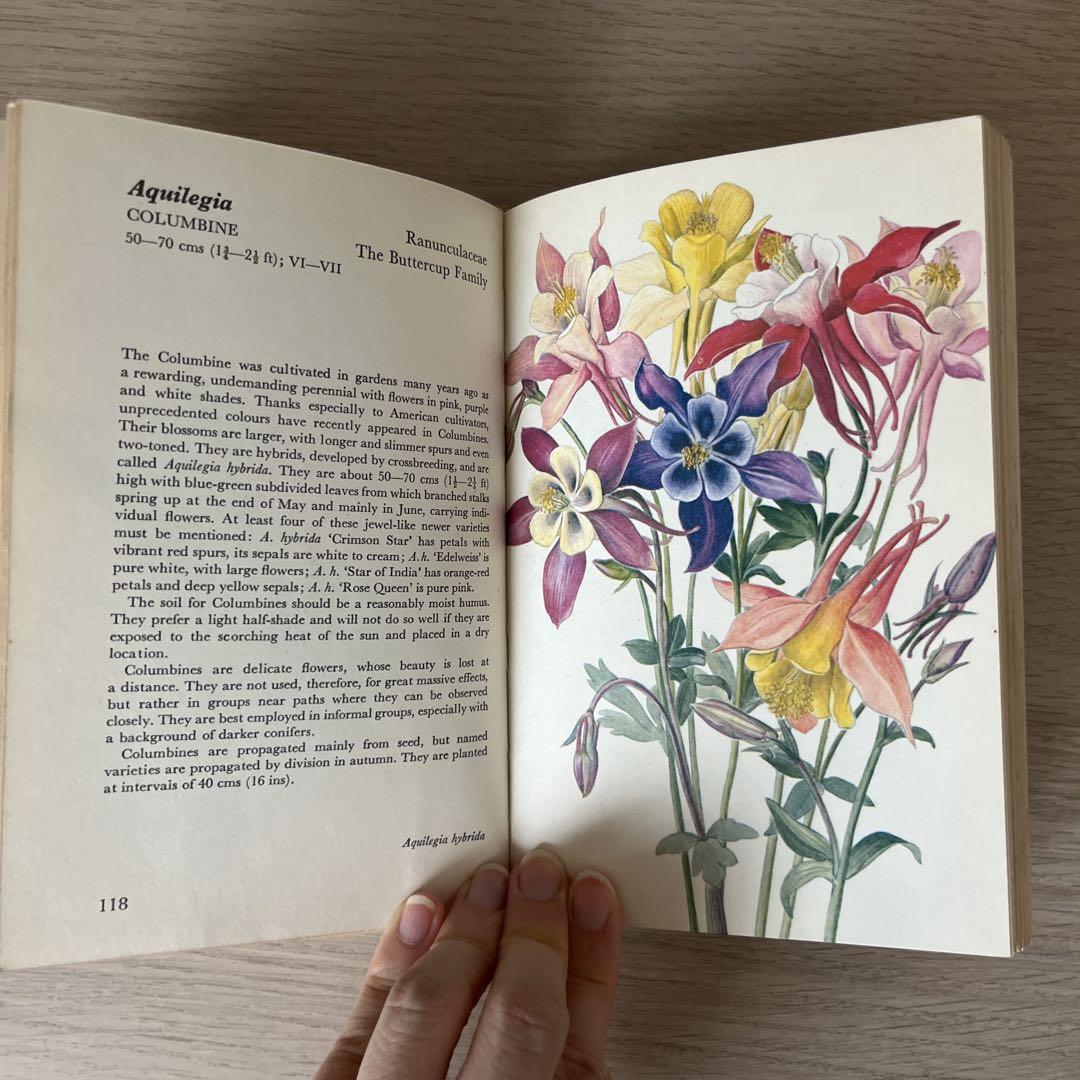 洋書　WORLD FLOWERS 植物画 洋書 古書 花図鑑 植物画 ボタニカルアート 植物図鑑 ガーデン