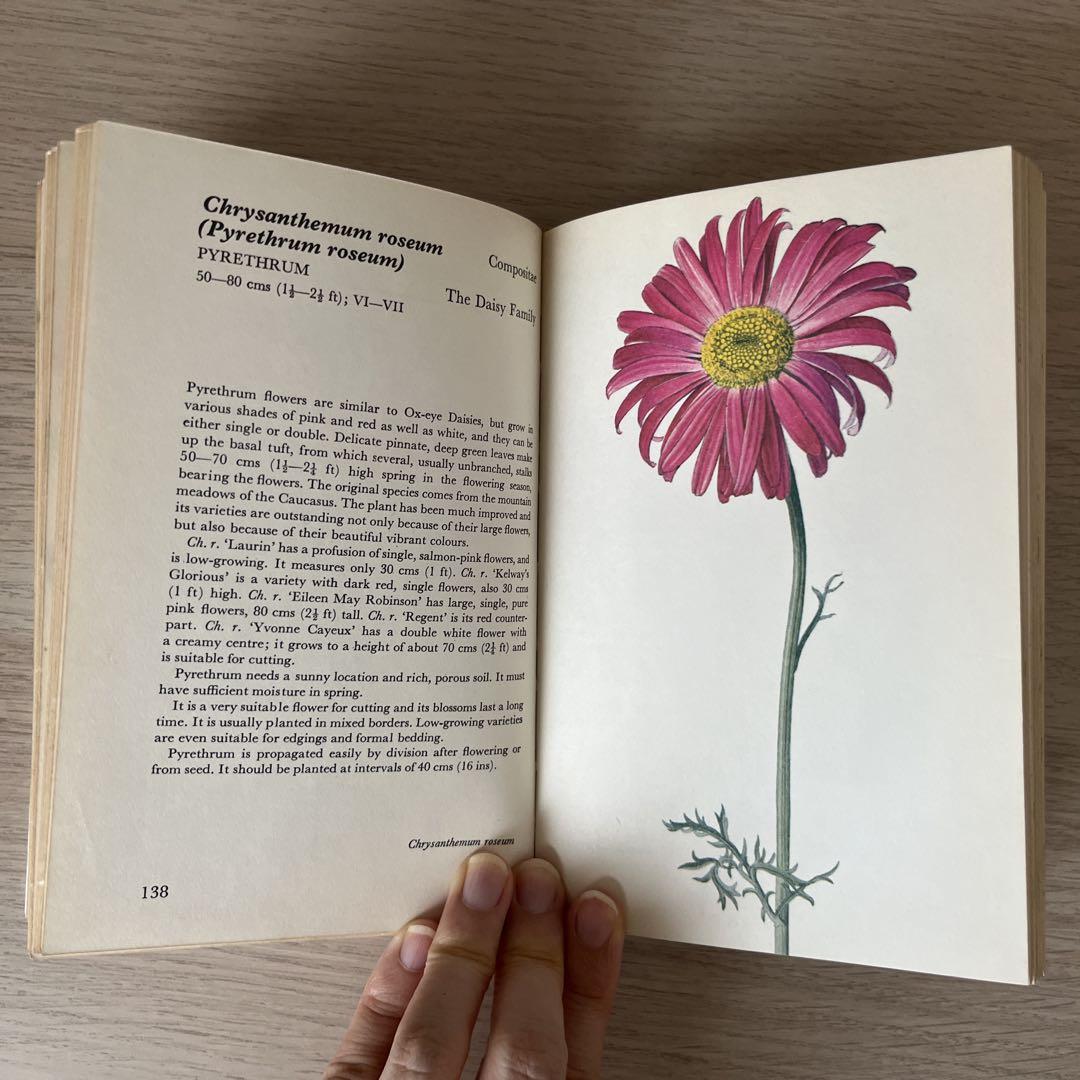 洋書　WORLD FLOWERS 植物画 洋書 古書 花図鑑 植物画 ボタニカルアート 植物図鑑 ガーデン