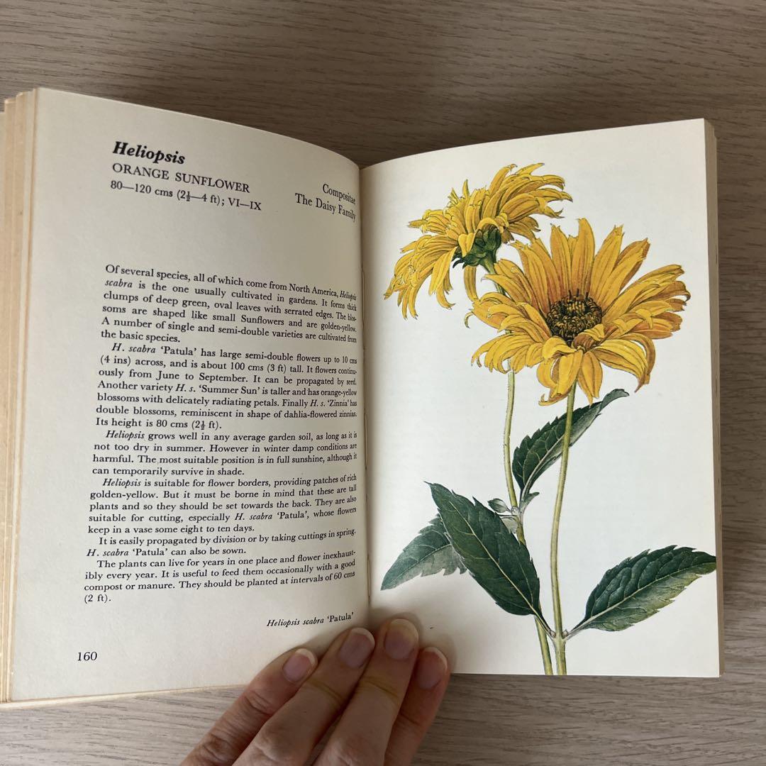 花粉　雲南省　中国　洋書　英語　専門書　花　植物　Flower Plants 花粉 雲南省 中国 洋書 英語 専門書 花 植物 Flower Plantsの