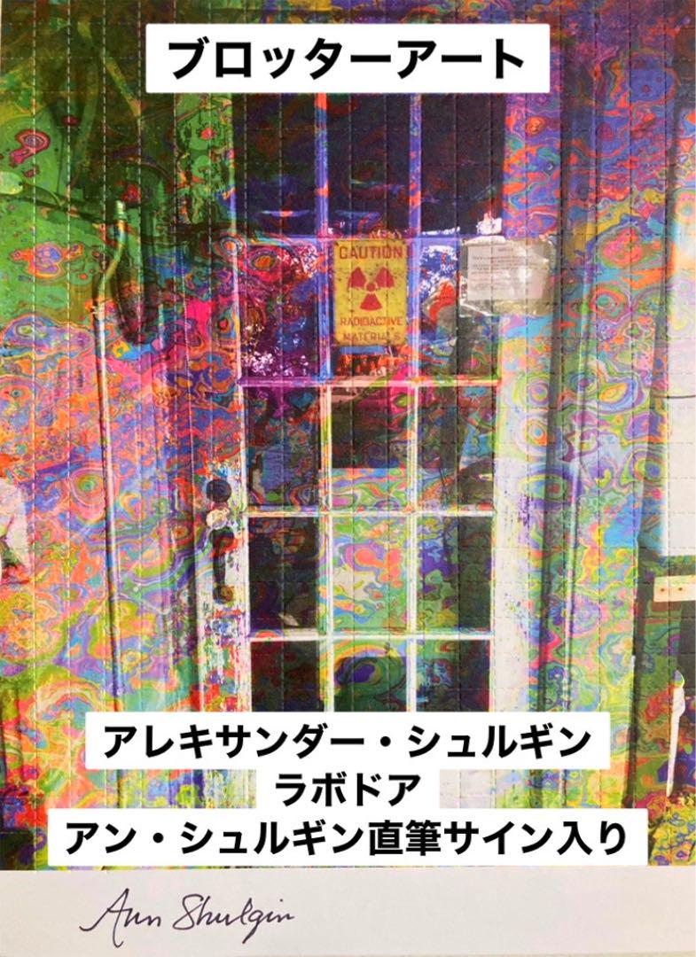 超歓迎】 ブロッターアート アレキサンダー・シュルギン研究室 アン ご購入 Bw (白)油絵 uF6-061503 静物(フルーツとキャンドル) 額付き 絵画/タペストリ