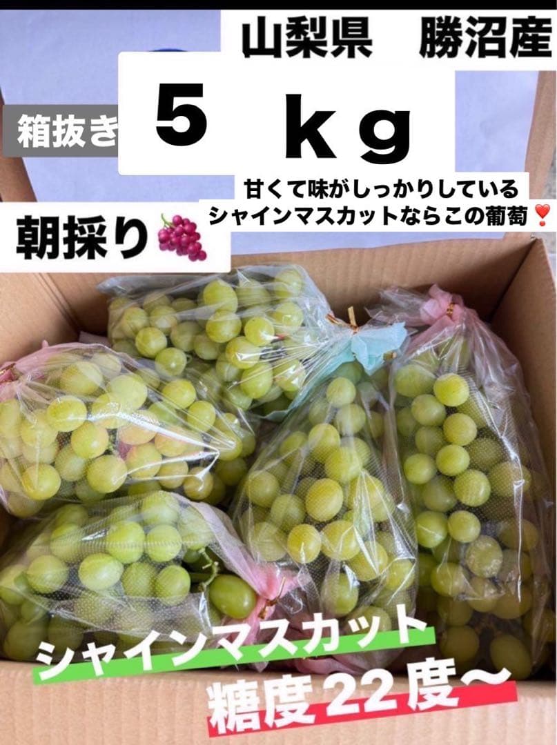 14 %山梨県勝沼産シャインマスカット箱抜き５ｋｇ