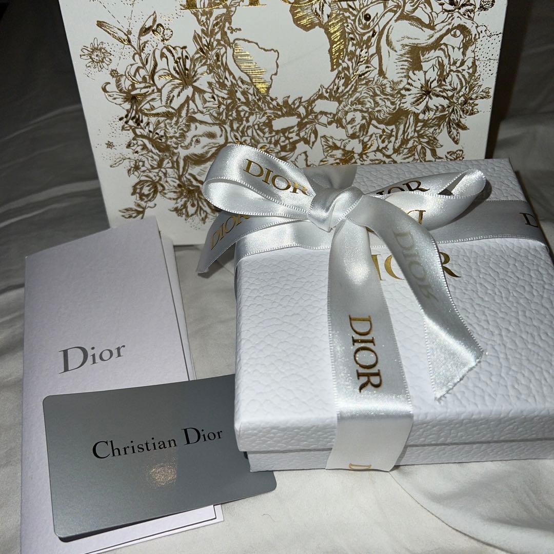 Dior Clair D Lune ネックレス/シルバー　正規品 DIOR CLAIR D LUNE ネックレス シルバー Clair D Lune Necklace Silver