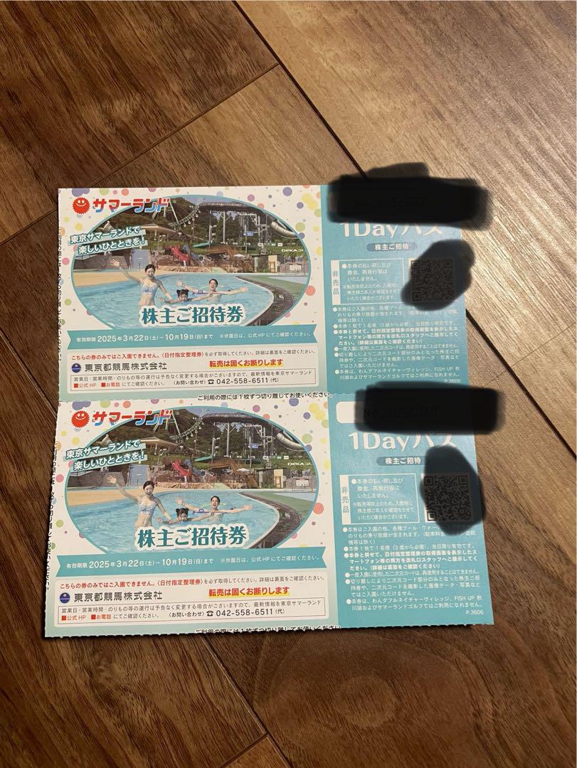 サマーランド1Dayパス