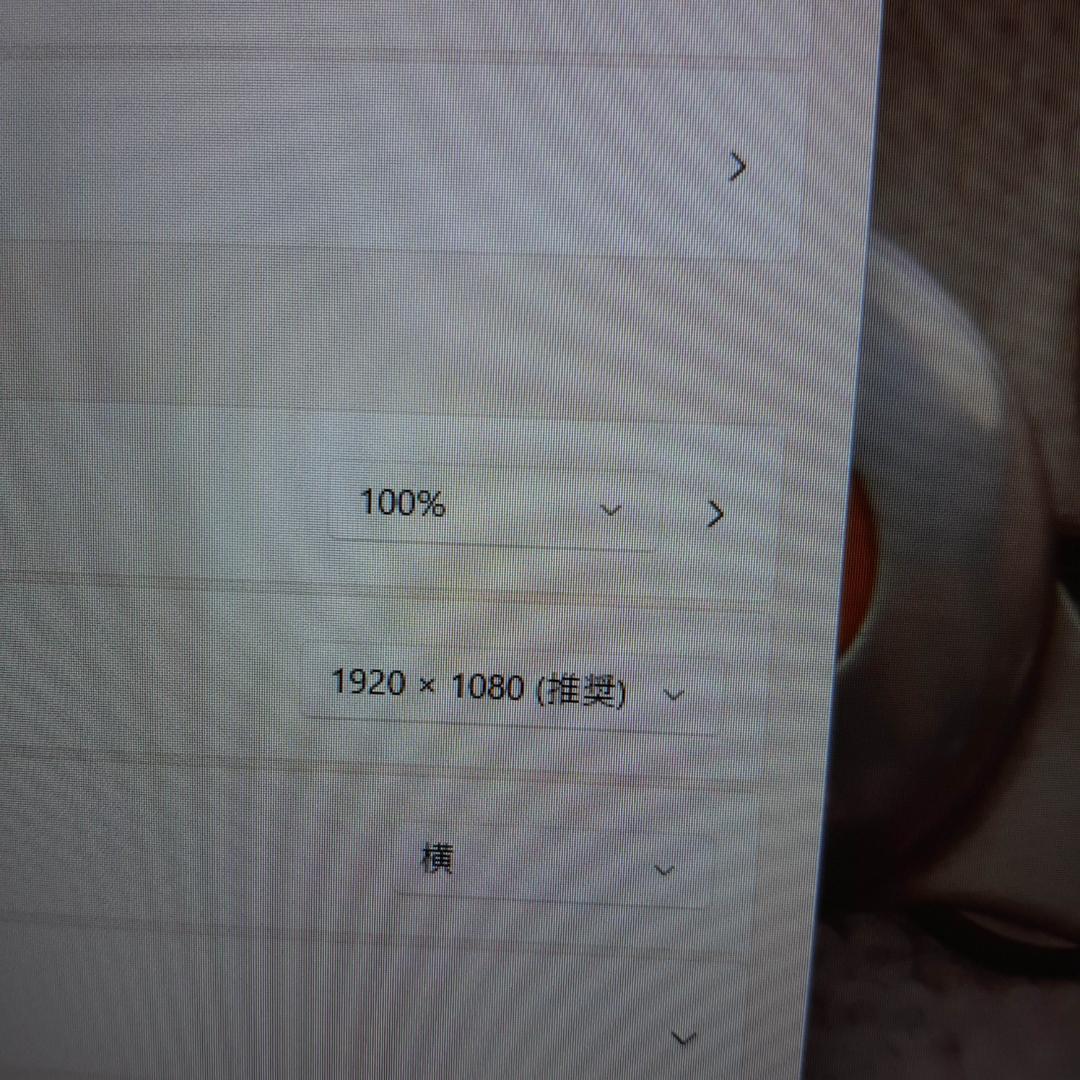 VAIO ProPG