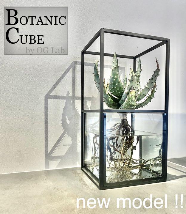 ホワイト系誠実 星流様 Botanic Cubeとスタンド 水耕栽培キット プランター 水槽 植物 観葉植物 インテリア 住まい 小物ホワイト系 12 222 Www Montevideocollege Edu Uy