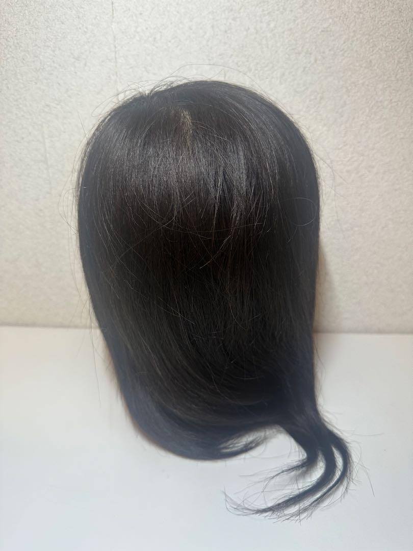 カットウィッグ 2体セット iP300BR iP200s