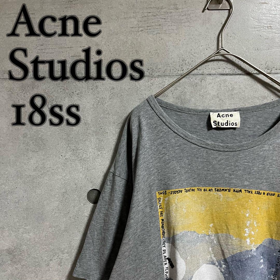 【希少】Acne Studios アクネ 18ss グラフィック Tシャツ
