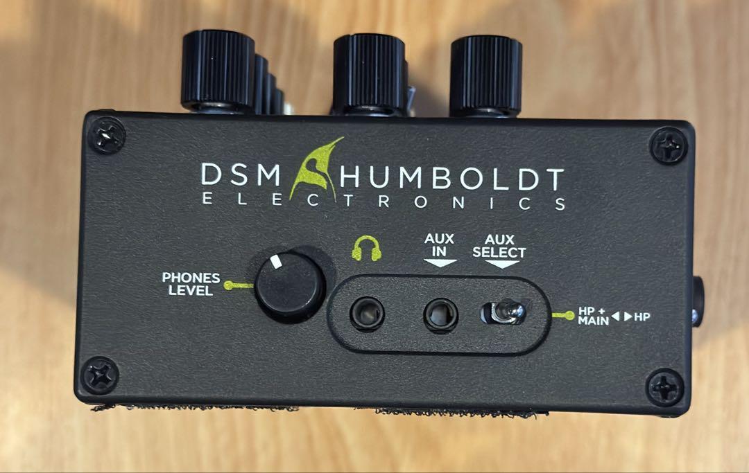ギター dsm&humboldt simplifier x
