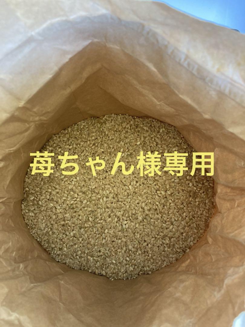 苺ちゃん様専用　石川県奥能登産コシヒカリ玄米　30kg
