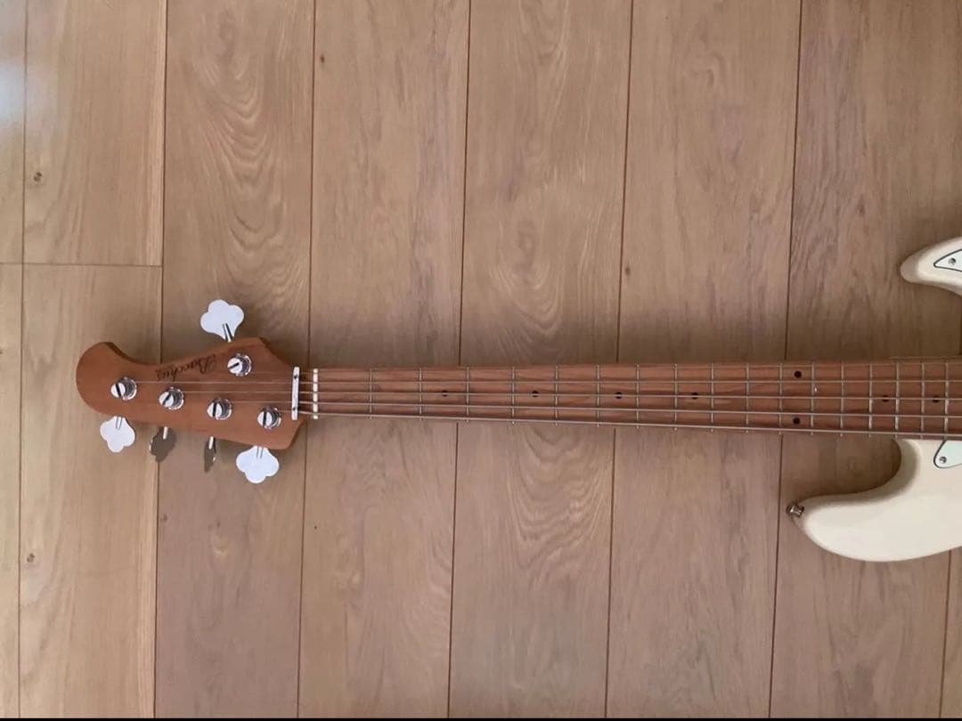 BACCHUS WJB5-630-RSM/M-Act OWH Universe BACCHUS WJB5-630-RSM/M-Act OWH Universe