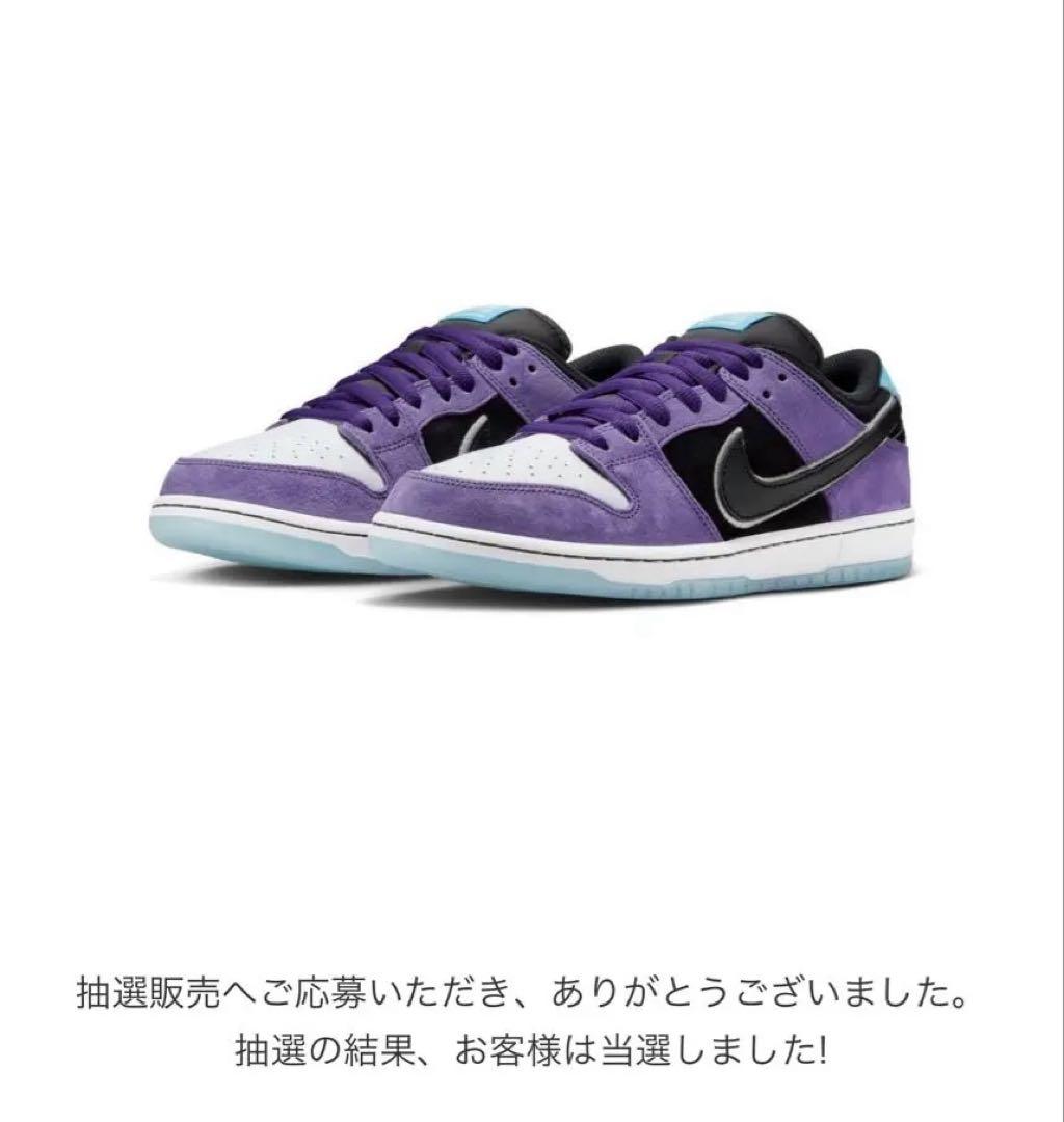 新品 Hayley Wilson × Nike SB Dunk Low Pro