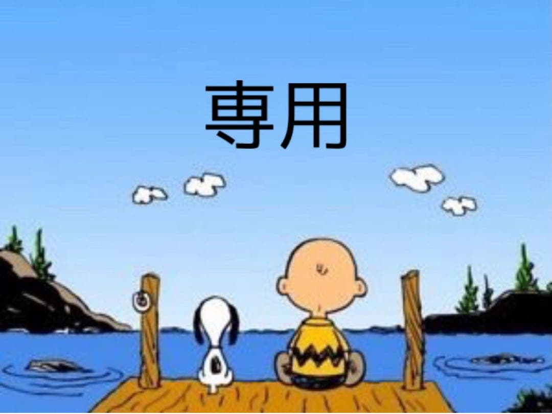 ナイキ ウインドフルジップ ウィメンズ ウーブン ジャケット XLXL LL NIKE