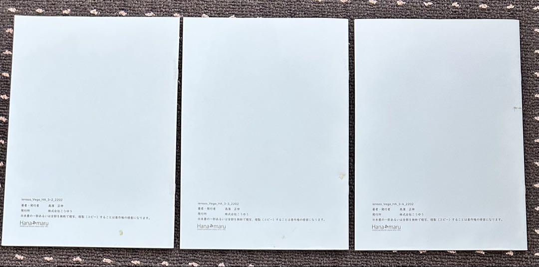 いえなぞ はなまる学習会 なぞぺー 16冊クラシック