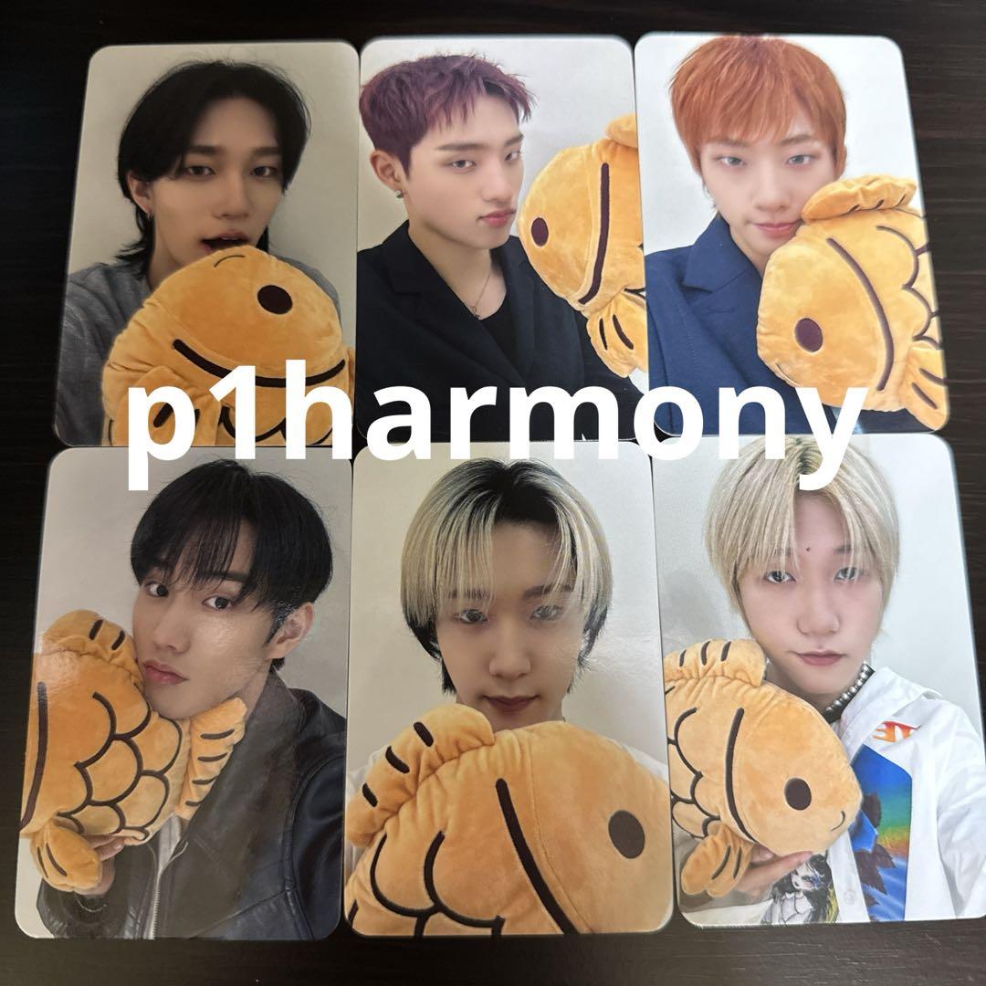 p1harmony music art コンプセット　ヨントン p1harmony music art コンプセットヨントン