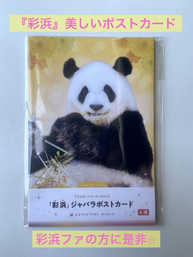 ジャバラポストカード 彩浜 アドベンチャーワールド パンダ