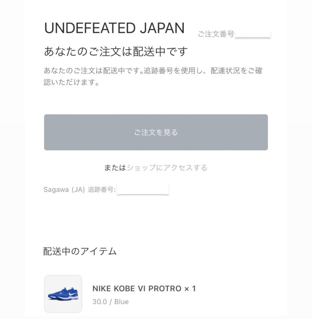 靴 kobe 6 protro