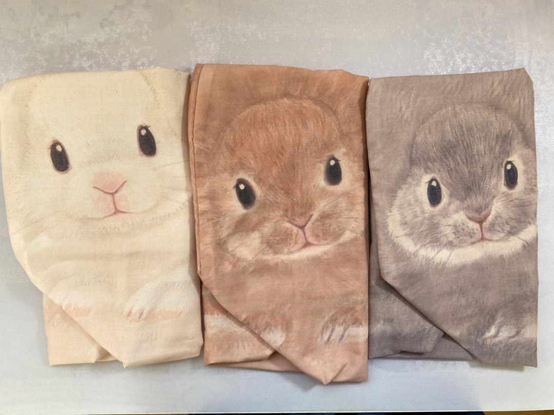 うさぎを飼っている気分の収納ケース