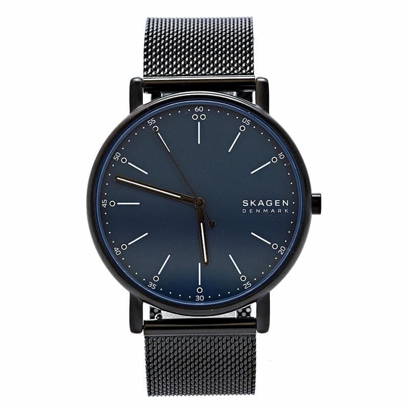 SKAGEN SKW6933SET 腕時計ウォッチ&ストラップセット並行輸入品